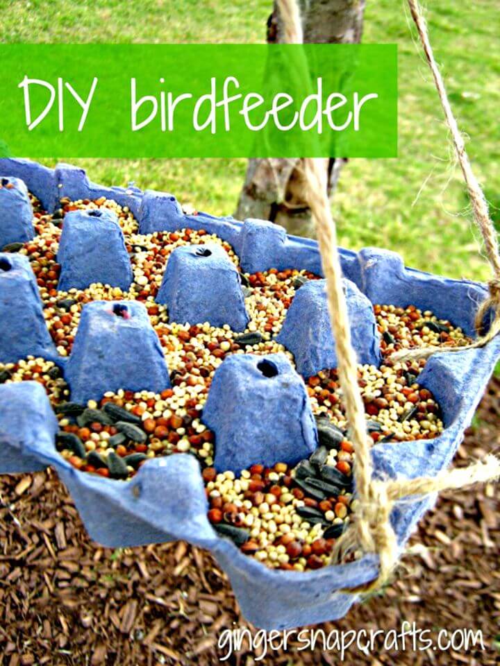 DIY Bird Feeder for Your Little Friends in This Summer 