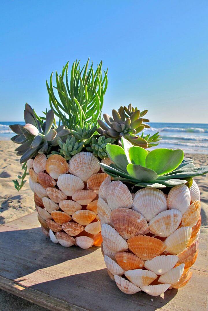 Adorable DIY Shell Planter