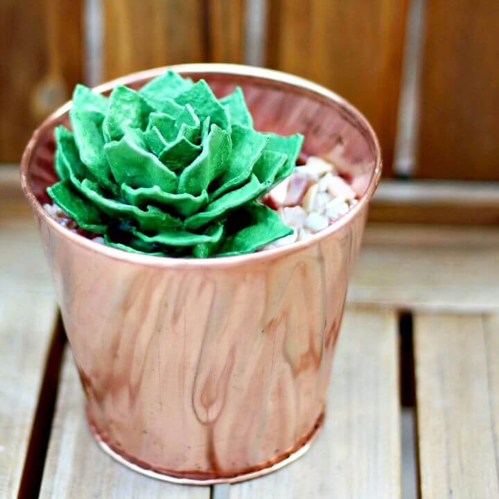 How to DIY Egg Carton Succulent