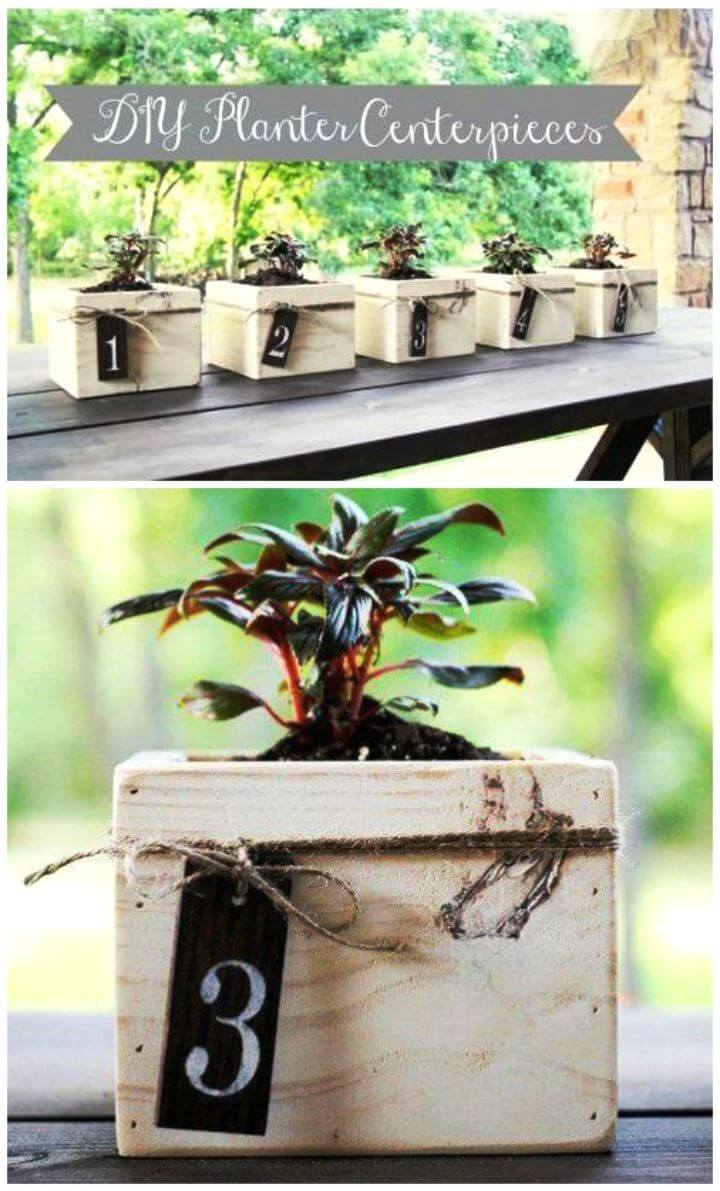 Adorable DIY Planter Wood Box Centerpieces Tutorial