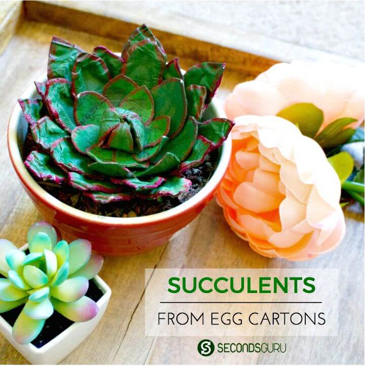 Easy DIY Egg-celent Succulent With Cartons