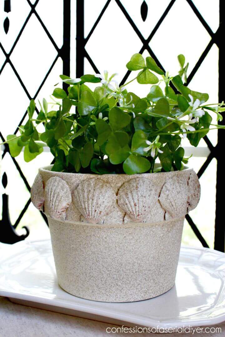 DIY Scallop Shell Terra Cotta Pot - Indoor Garden Ideas 