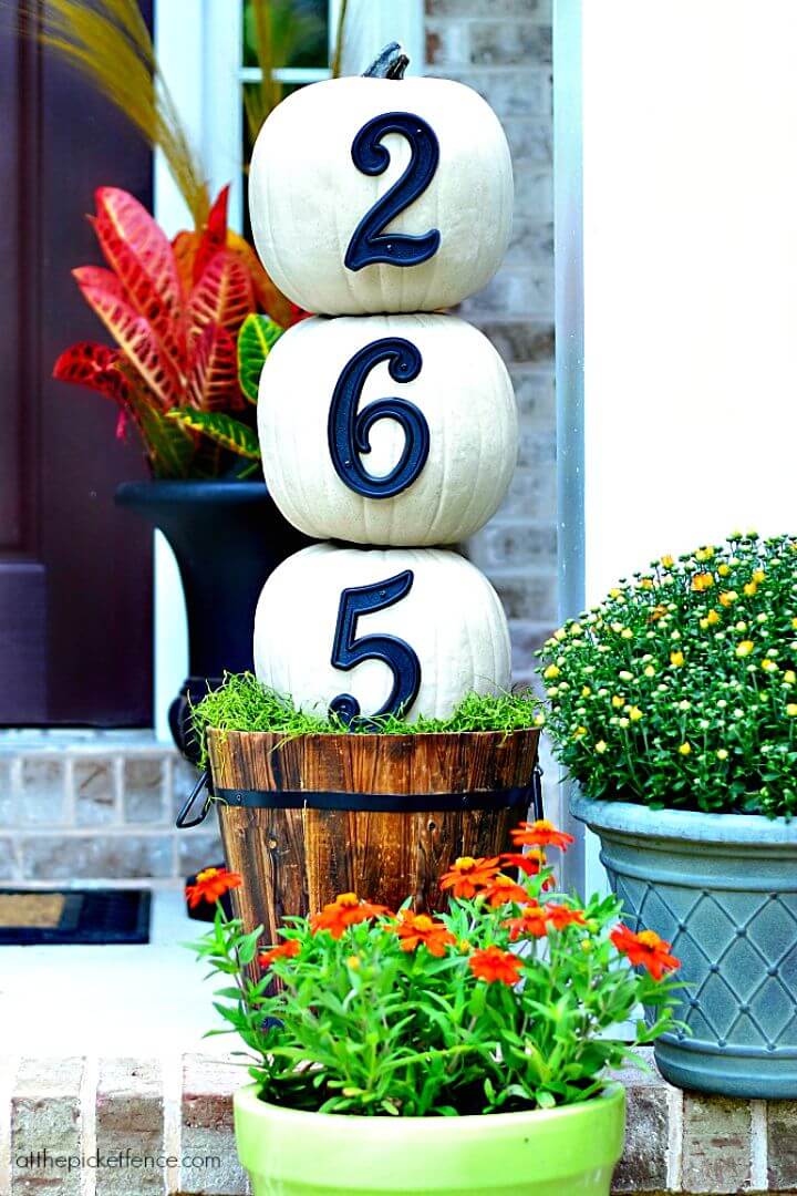  How to Build House Numbers Pumpkin Topiary