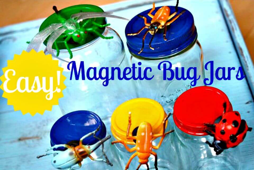 Colorful DIY Magnetic Bug Jars