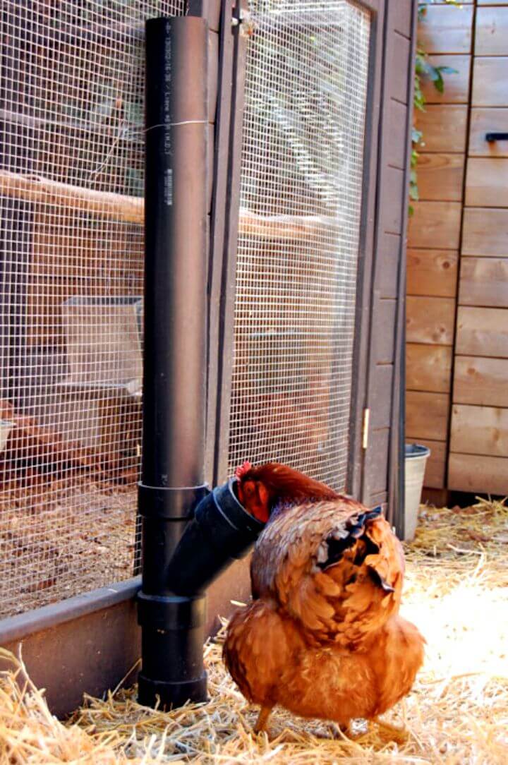 Adorable DIY No Spill Chicken Feeder