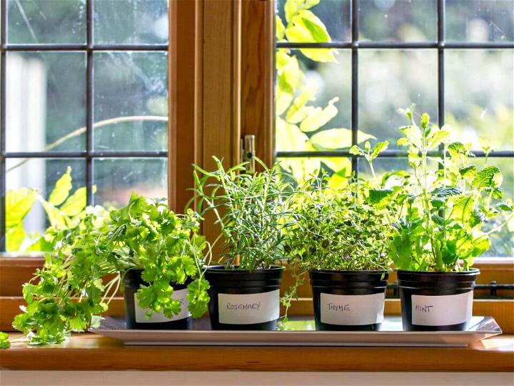 70 Inexpensive DIY Herb Garden Ideas You Need To DIY Now ⋆ DIY Crafts