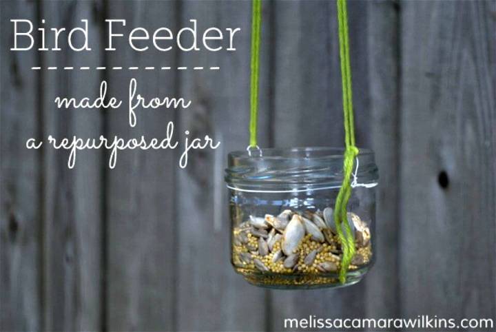 Make a Butterfly Feeder