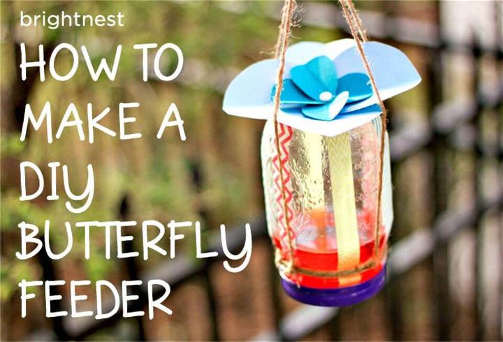 Adorable DIY Butterflies Feeder in 6 Simple Steps