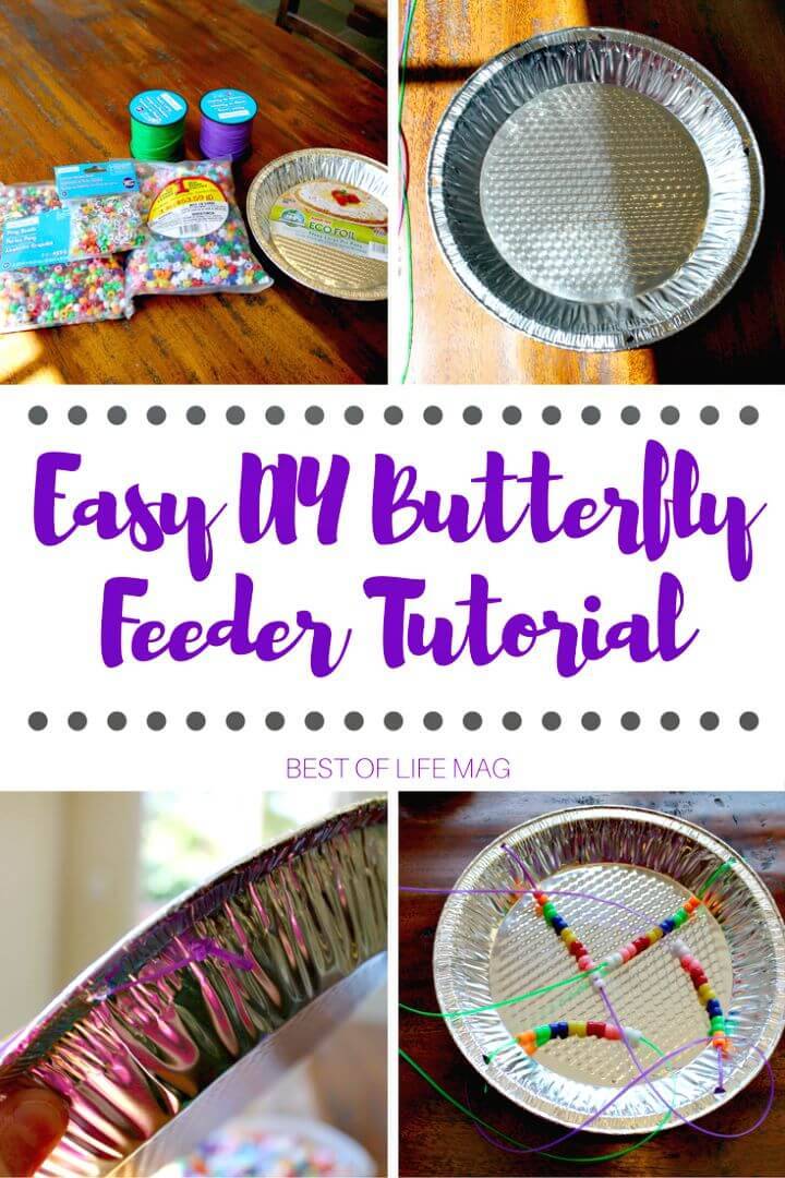 make a butterfly feeder