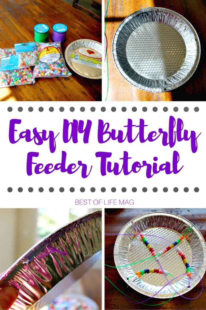 DIY Butterfly Feeder Tutorial