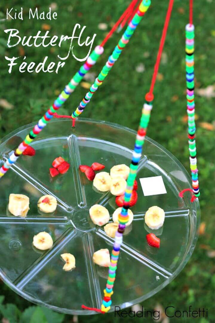 Super Easy DIY Butterfly Feeder