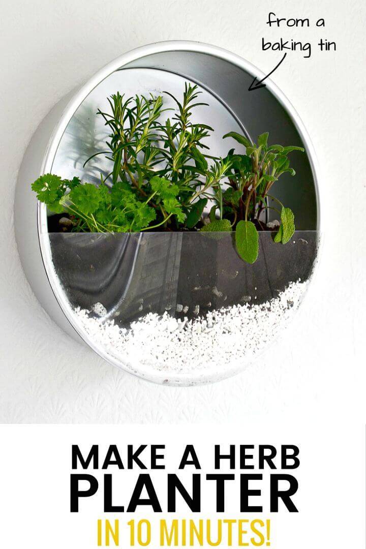 Quick DIY Indoor Herb Garden