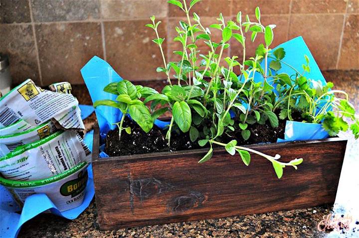 70 Inexpensive DIY Herb Garden Ideas You Need To DIY Now  DIY \u0026 Crafts