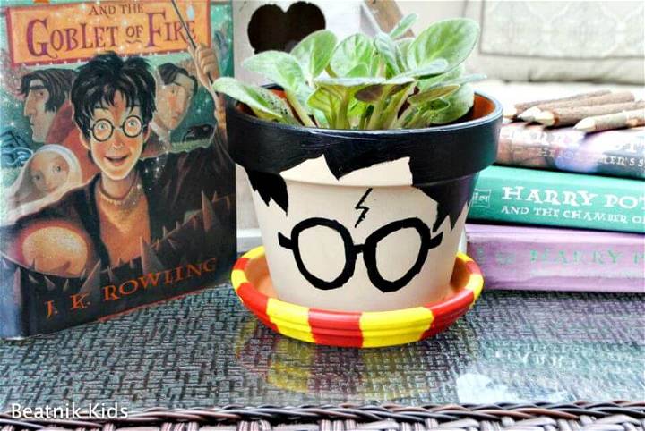 Cute Harry Potter Flower Pot