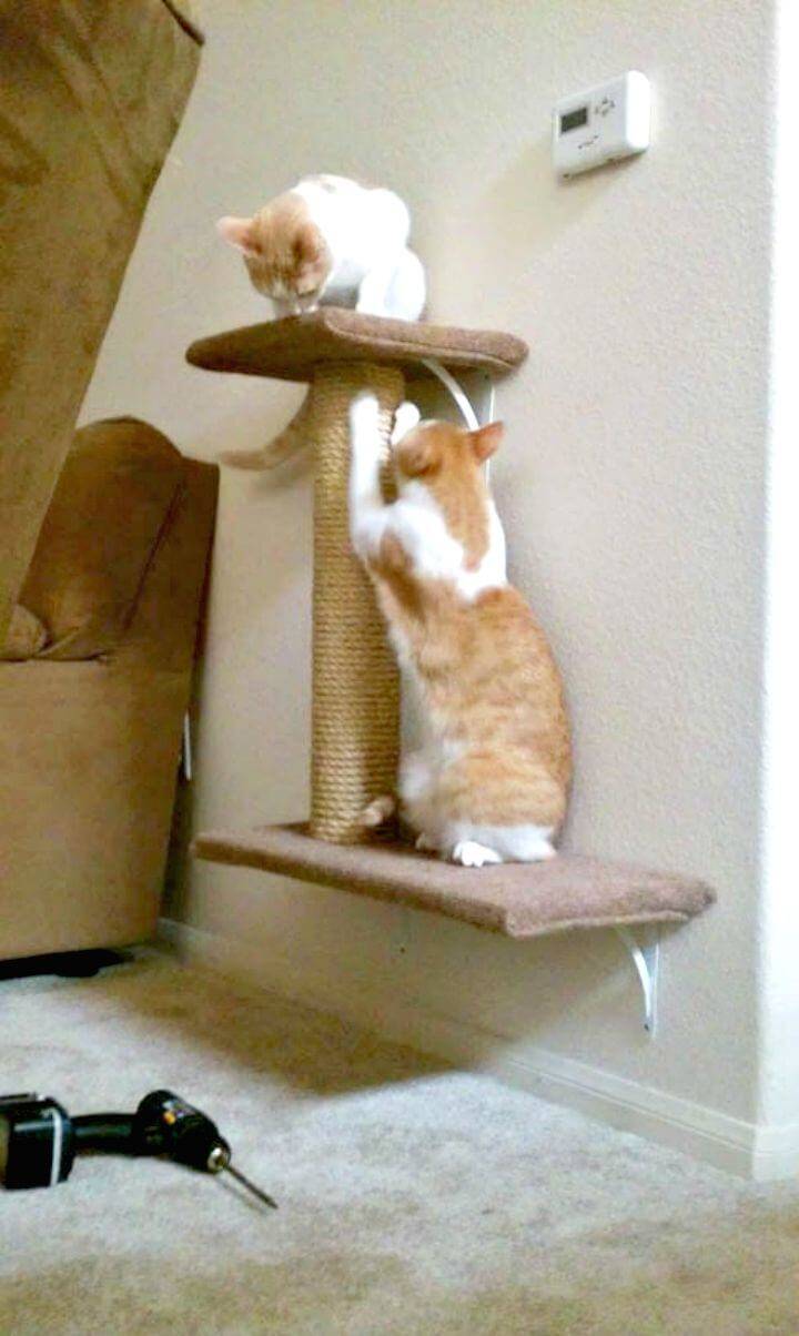 DIY Wall-mounted Cat Tree