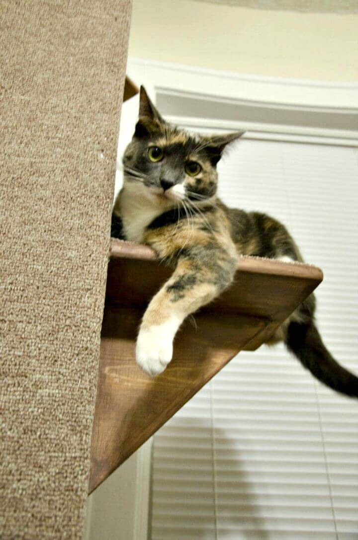 DIY Wooden Boards and High Traffic Carpet Cat Tree