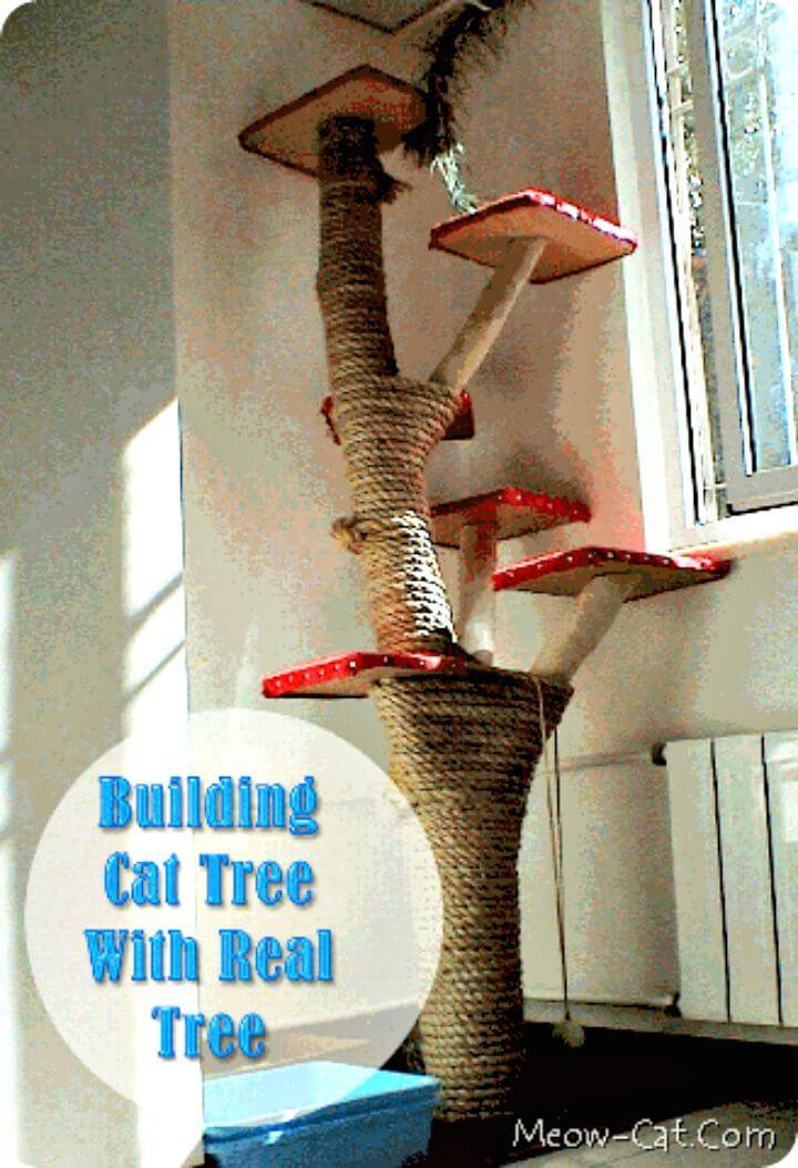 How To Build Cat Tree with Real Tree