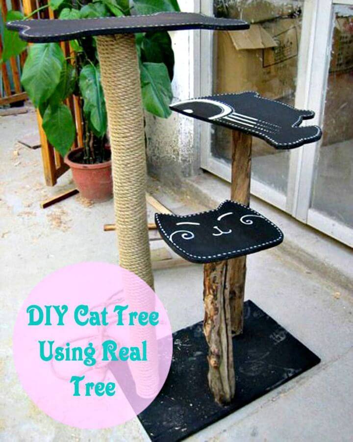 How To Make Cat Tree Using Real Tree