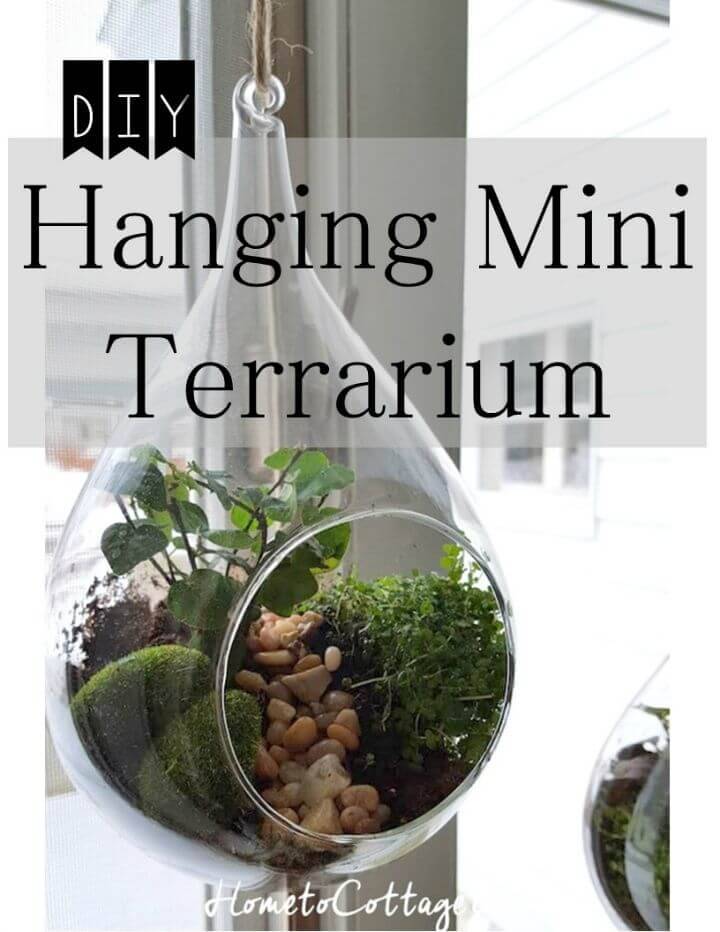 DIY Hanging Terrarium Tutorial