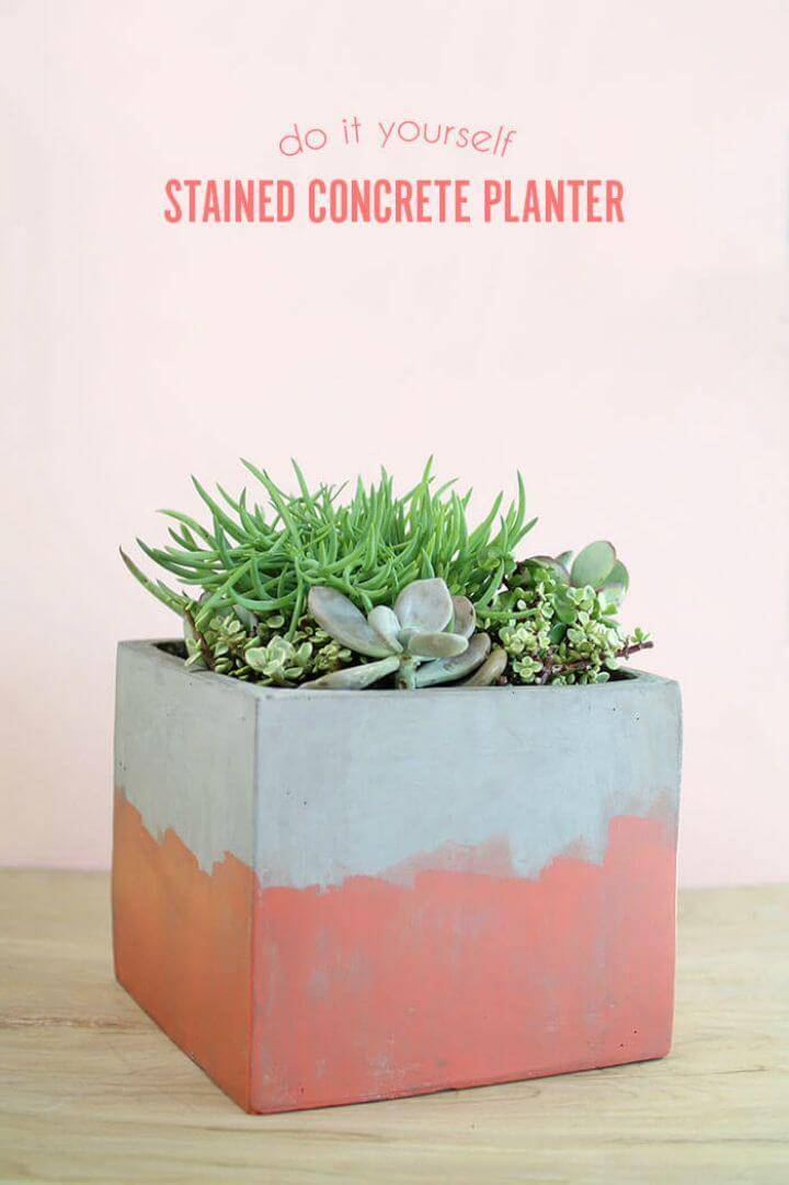 DIY Stained Concrete Planter