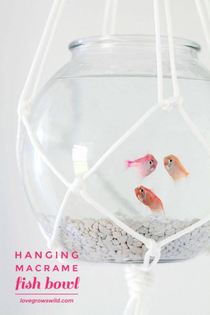 DIY Hanging Macrame Fish Bowl: