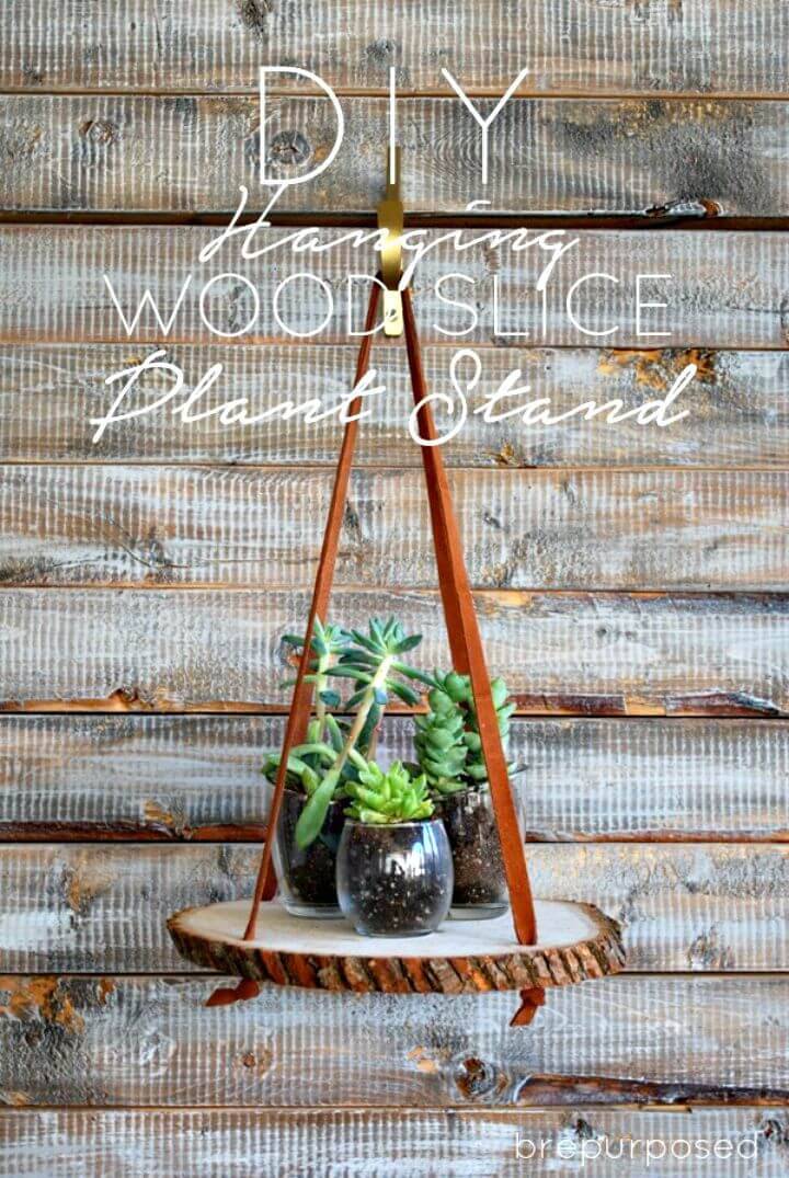 DIY Hanging Wood Slice Plant Stand 