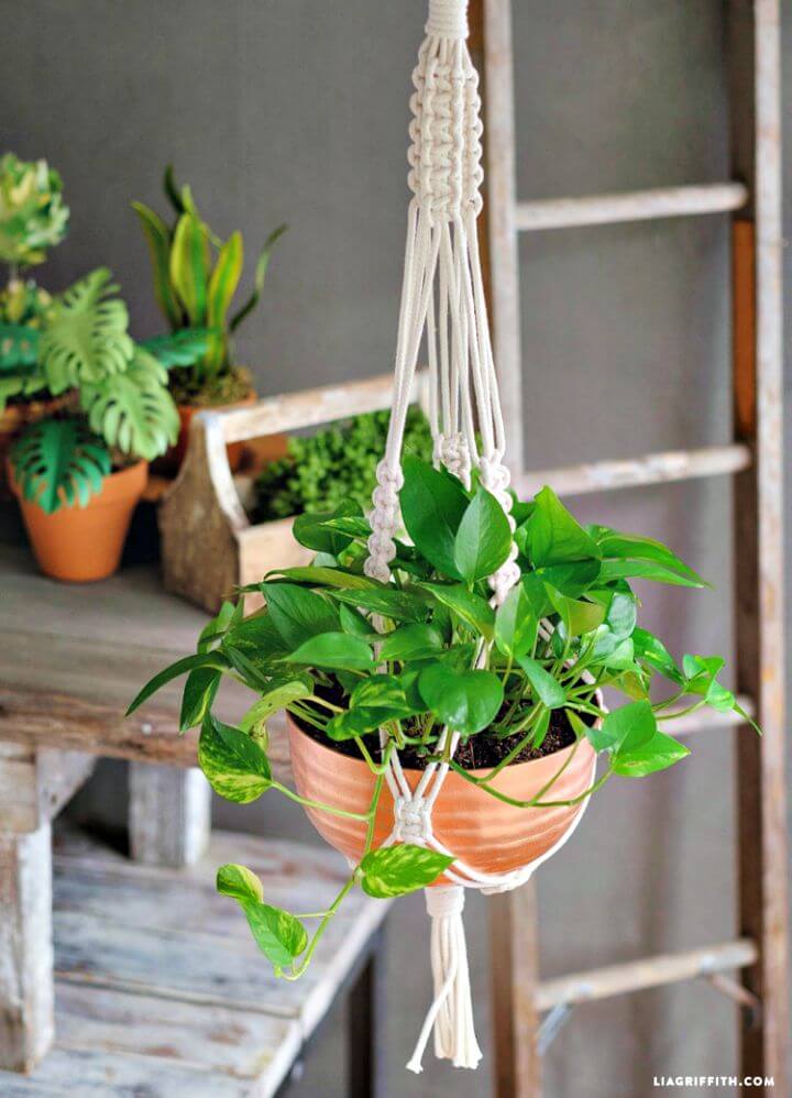 Beautiful DIY Braided Macrame Plant Holder