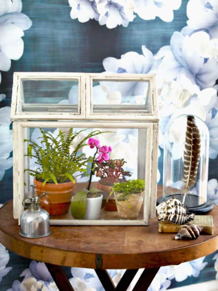 Inexpensive DIY Terrarium Using Old Picture Frames