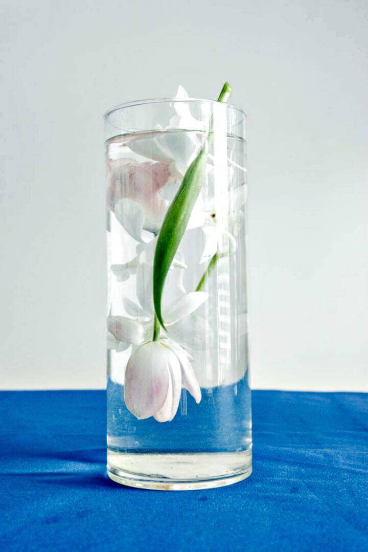 Simple To Create submerged Centerpieces