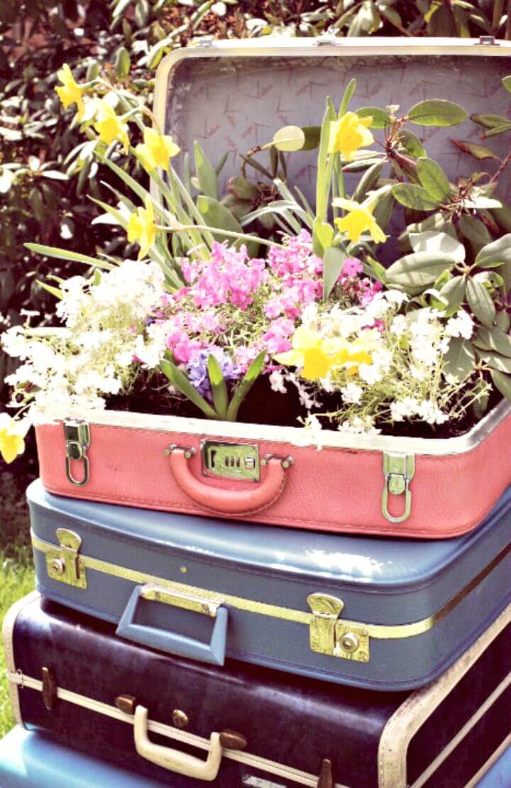 DIY Vintage Suitcase Garden Planter