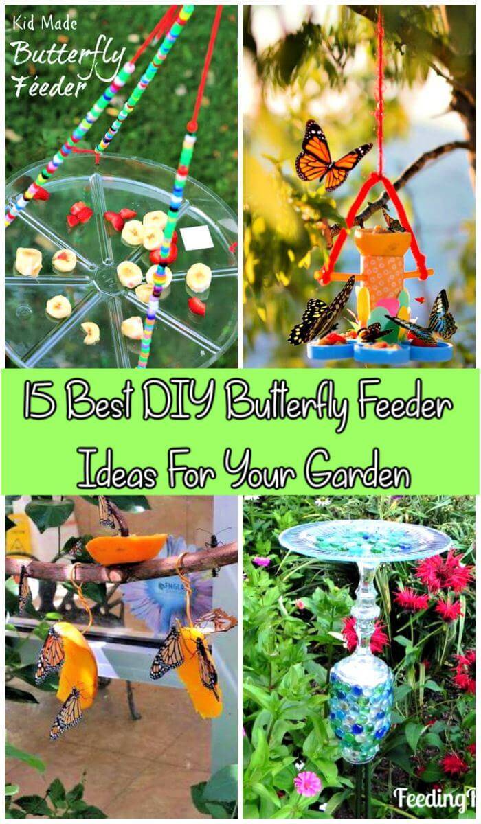 15 Best DIY Butterfly Feeder Ideas For Your Garden, DIY Butterfly Feeders, DIY Feeder Ideas, DIY Garden Projects, DIY Crafts
