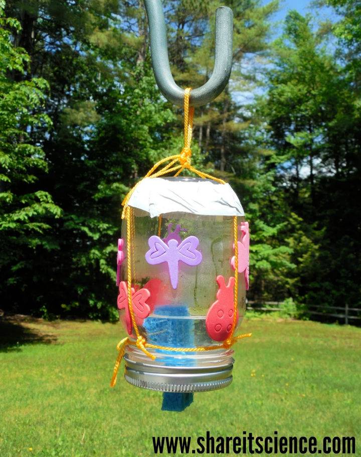 DIY Butterfly Feeder Using Recycled Materials