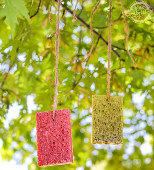 How to Make a Butterfly Feeder