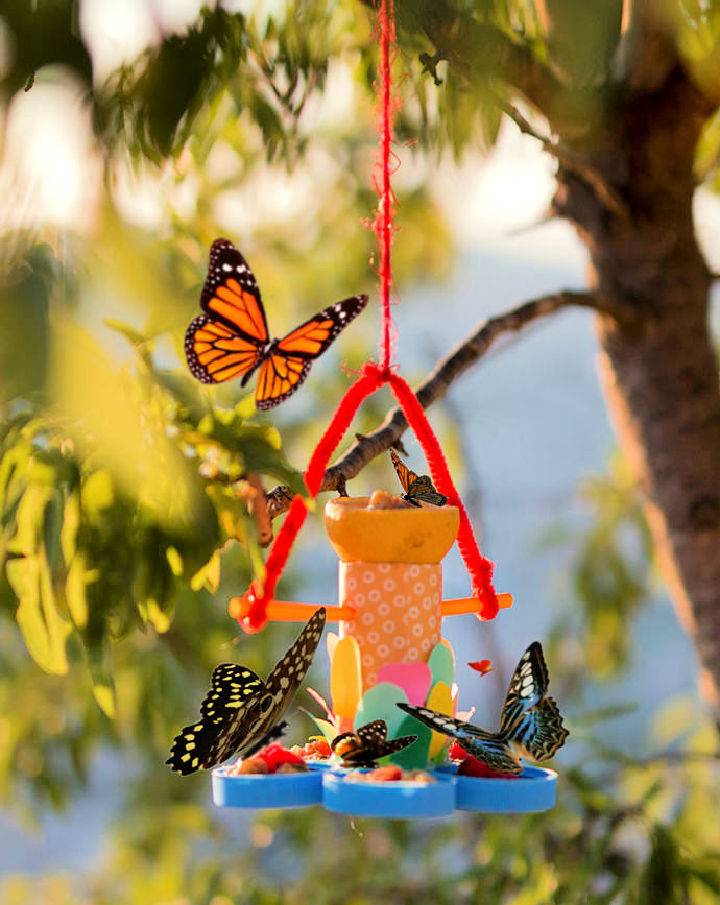 Recycled Toilet Paper Towel Roll Butterfly Feeder