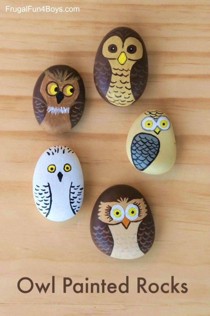DIY Owl Painted Rocks, Painted Rock Birds, Painted Rock Animals, Painted Rocks for Garden