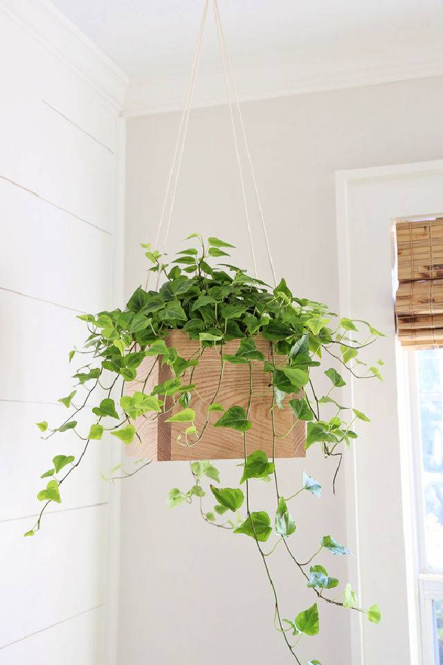 Hanging Planter Out of Wood and Rope
