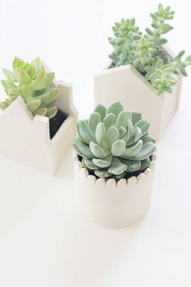 Homemade Clay Succulent Planters