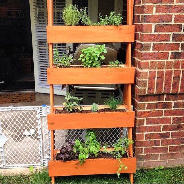 Ladder Style Upright Herb Planter Ideas