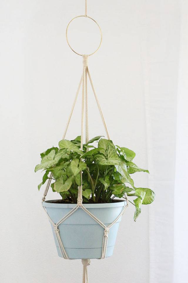 Making a Macrame Plant Hanger at Home