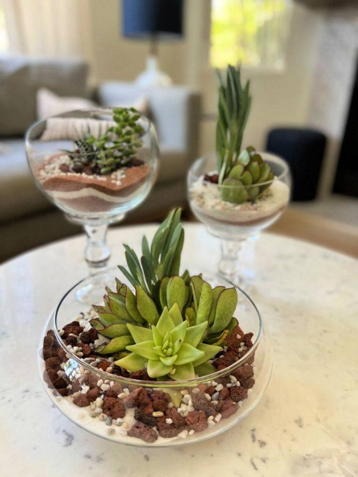 Making a Succulent Planter Step by Step