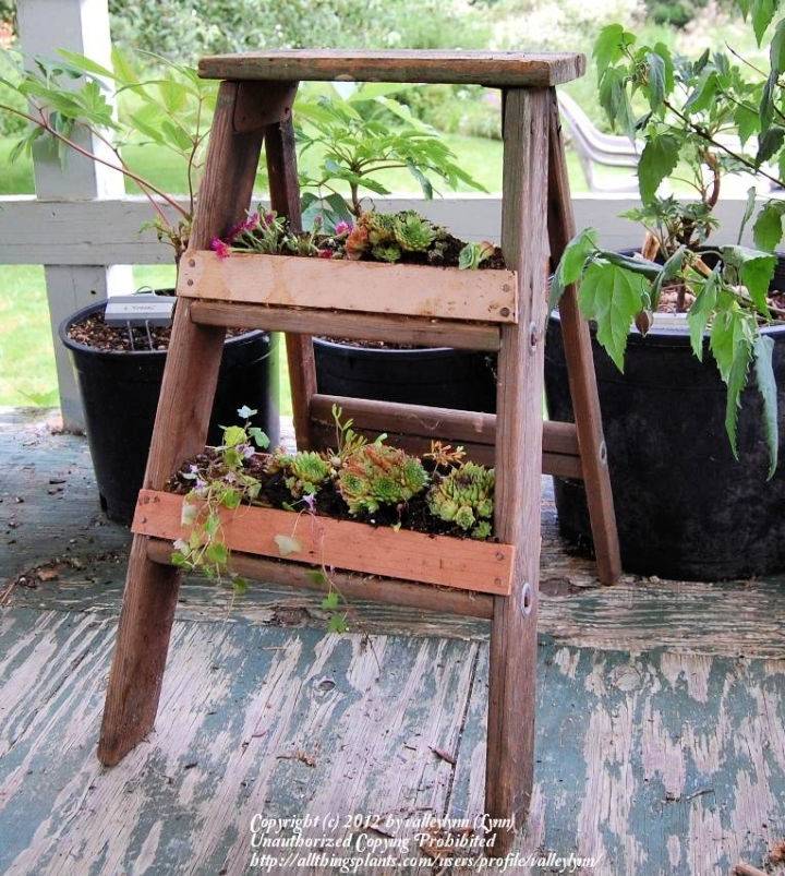 Homemade Step Ladder Planter