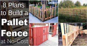 8 Plans to Build a Pallet Fence at No Cost
