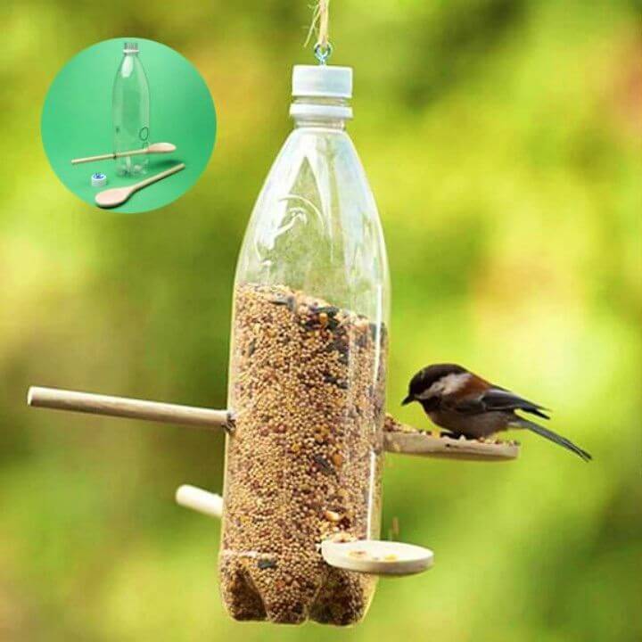 Bird Feeder Using Plastic Bottle
