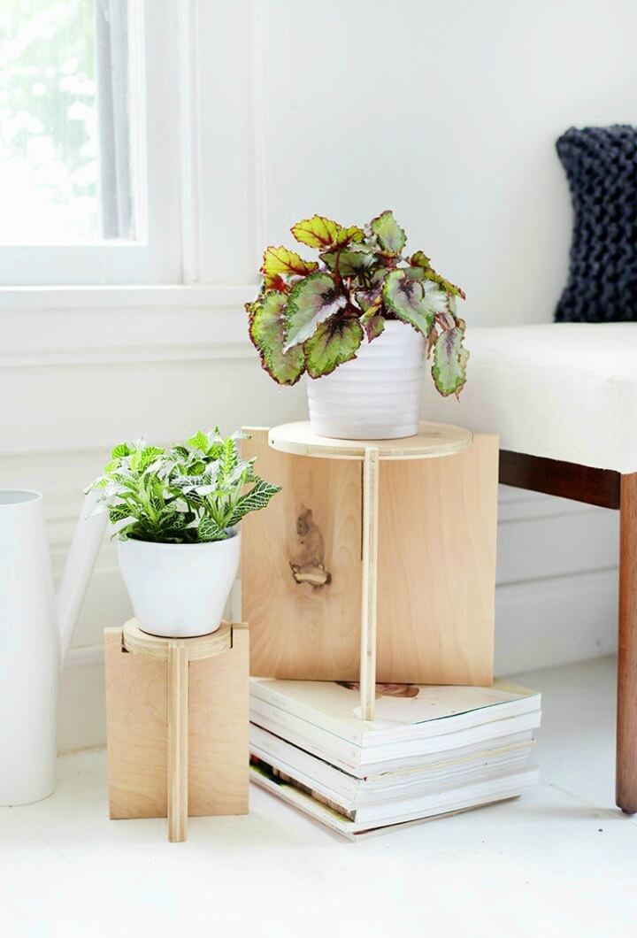 Build Your Own Wooden Plant Stand