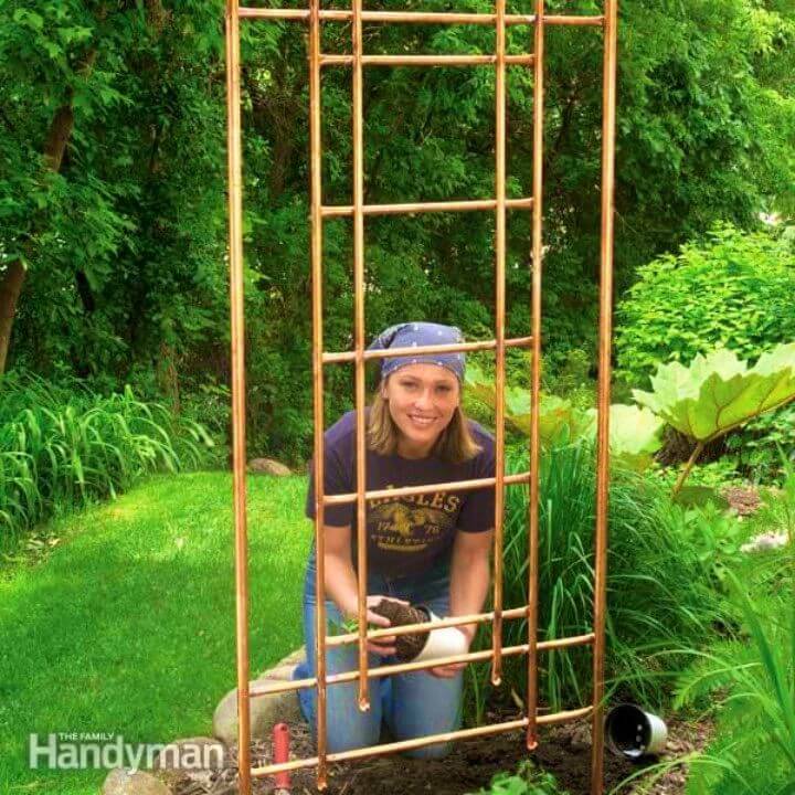 Build a Copper Trellis for Your Garden