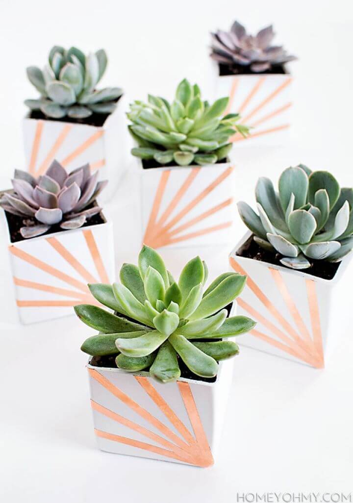 Cute DIY Copper and White Succulent Planters
