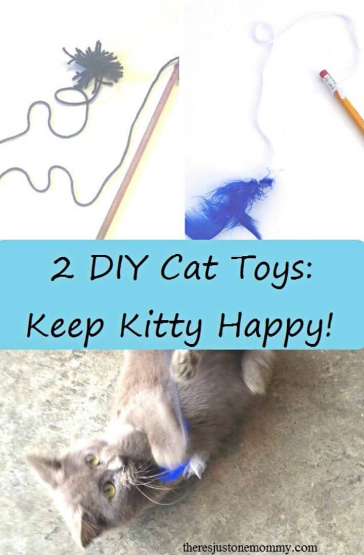DIY Cat Toys the Kids