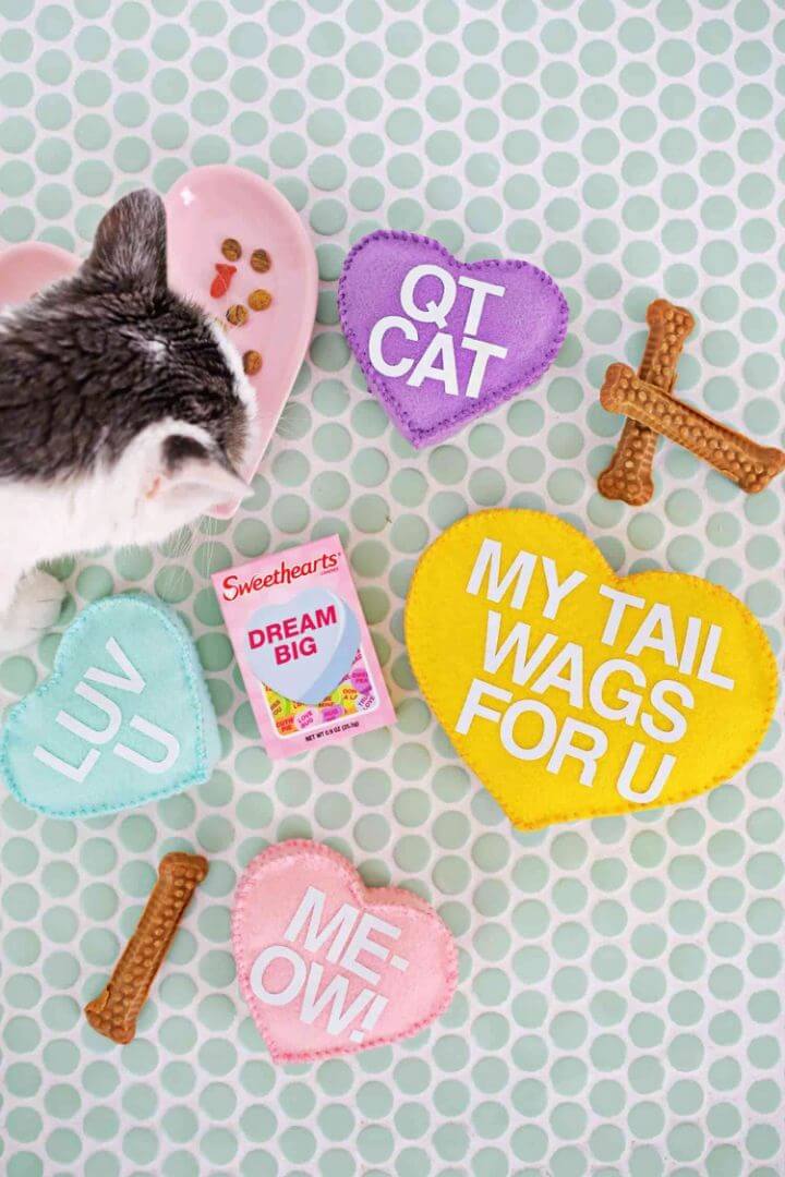 DIY Conversation Heart Pet Toy