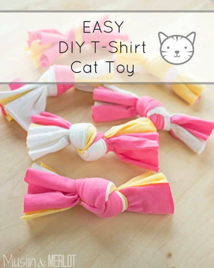 Easy to Make T shirt Cat Toy