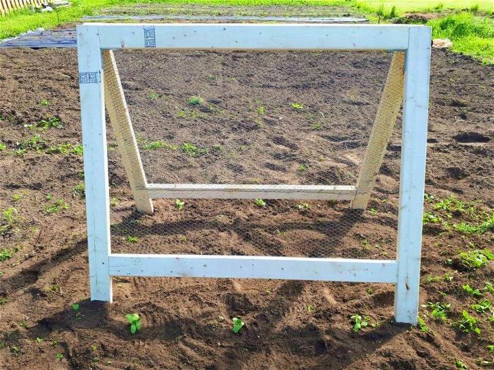 How to Make Cucumber Trellis at Home